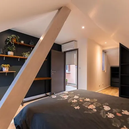 Proche Centre Apartmán Colmar